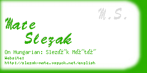 mate slezak business card